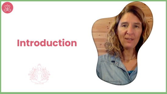 Introduction (10 minutes)